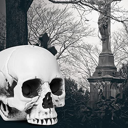 Gonioa Bag of Skeleton Bones and Skull for Best Halloween Decoration and Spooky Graveyard Scene, Outdoor Halloween Prop Creepy Haunted Decorations – 28 Pcs Set