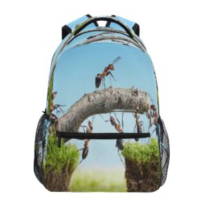 blueangle ant team backpack for boy girl teens, water resistant school backpack lightweight bookbag casual backpack