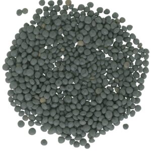 Lentils | Black Beluga | 4 lb Bag | Non-GMO | Kosher | Vegan | Non-Irradiated