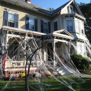 1000 Sqft Halloween Spider Web Decorations with 100 Fake Spiders, Super Stretch Spider Webs Cobwebs Decor, Haunted House Yard Creepy Scene Props Indoor Outdoor Decor and Halloween Party Supplies