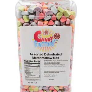 Sarah's Candy Factory Assorted Dehydrated Marshmallow Bits in Jar, 1lb PACK 1