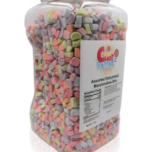 Sarah's Candy Factory Assorted Dehydrated Marshmallow Bits in Jar, 1lb PACK 1