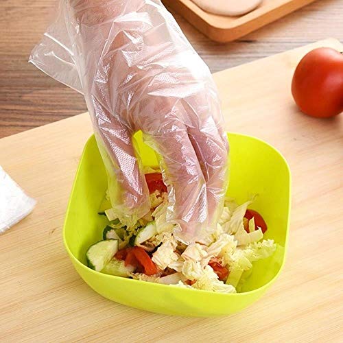 MAGID Latex-Free Disposable Food Prep Gloves, 500-Count Package, One Size Fits Most