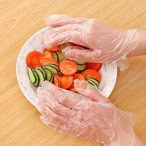 MAGID Latex-Free Disposable Food Prep Gloves, 500-Count Package, One Size Fits Most