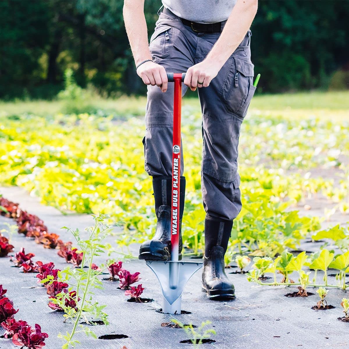 Garden Weasel Bulb Planter - Long Handle | Annuals, Ground Cover, Vegetables, Spring and Fall Bulbs | Sod Cutter, Remover, and Plugger, Grass Planter, Bulb Planting Tool | 91350