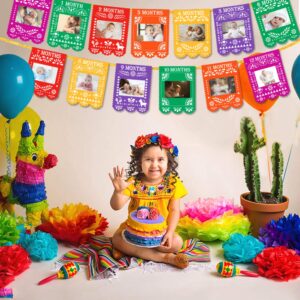 Kreatwow Mexican Photo Banner Fiesta Monthly Banner Papel Picado for 1st Birthday Party Decorations from Newborn to 12 Month