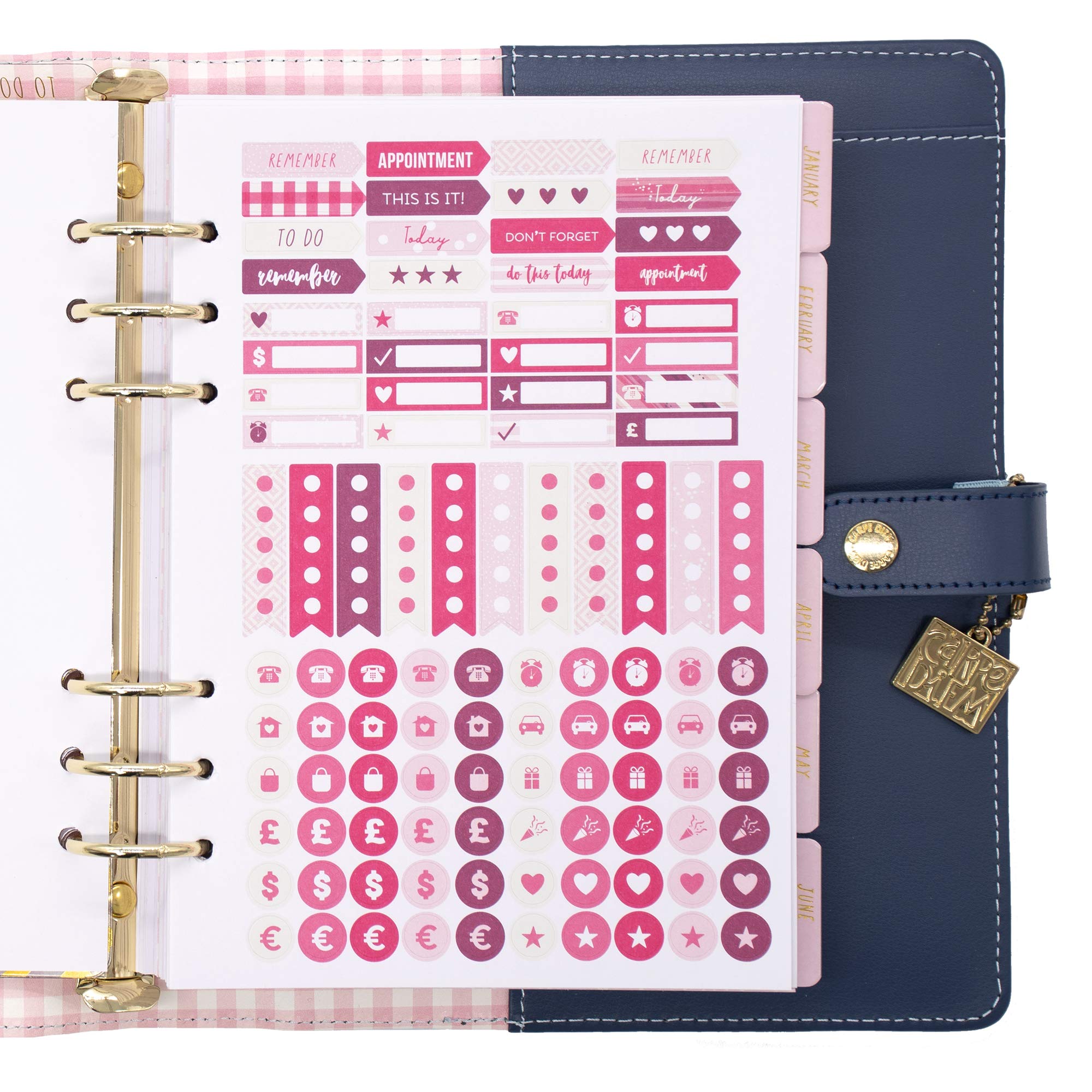 Pukka Pad, Carpe Diem A5 Planner with Weekly, Monthly Undated Inserts, 10 X 9.5 X 2 Inches, Disty Floral