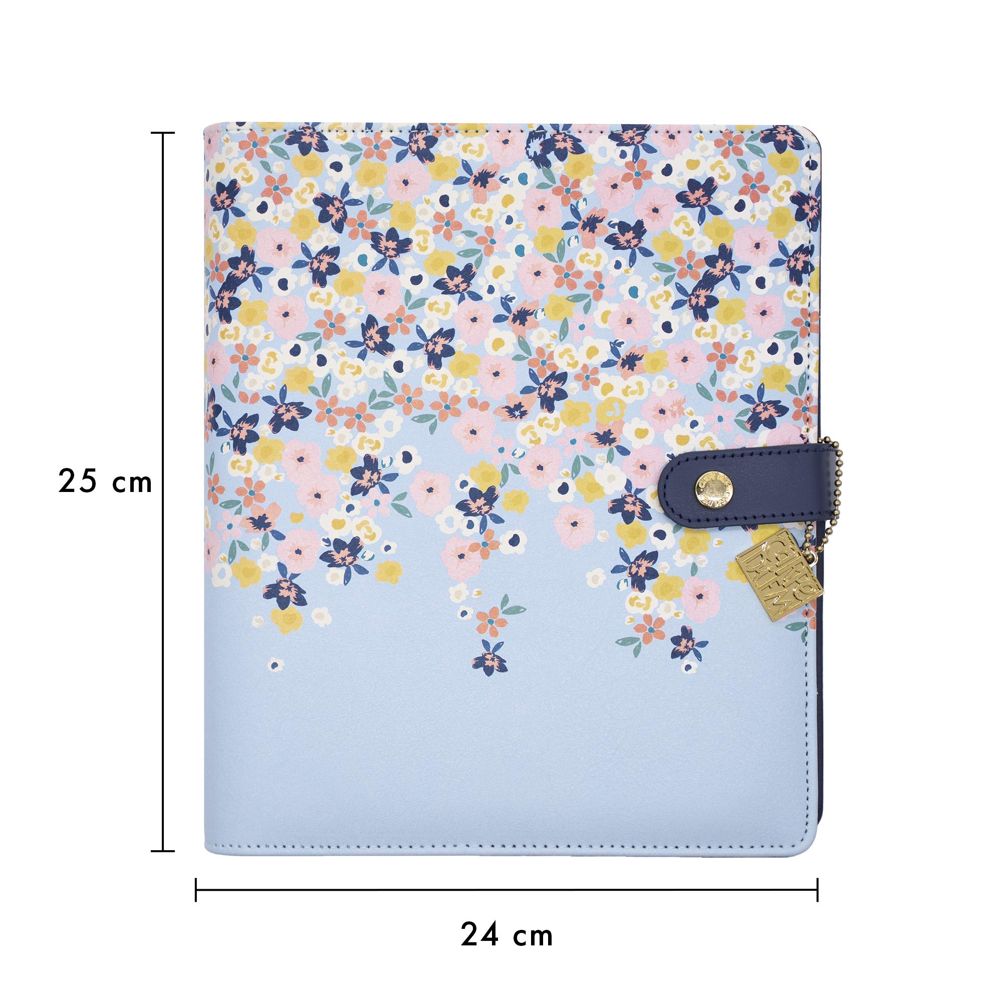 Pukka Pad, Carpe Diem A5 Planner with Weekly, Monthly Undated Inserts, 10 X 9.5 X 2 Inches, Disty Floral