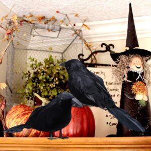 Sizonjoy 6 Pack Halloween Black Feathered Crows, Halloween Decorations Realistic Bird Halloween Ravens Decor Props