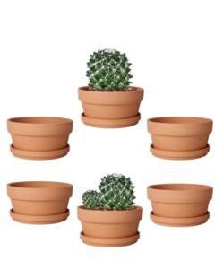 vensovo 5.7 inch terracotta shallow succulent pot - 6 pack terra cotta clay pots with saucer, cacuts terra-cotta indoor and outdoor planters with drainage hole