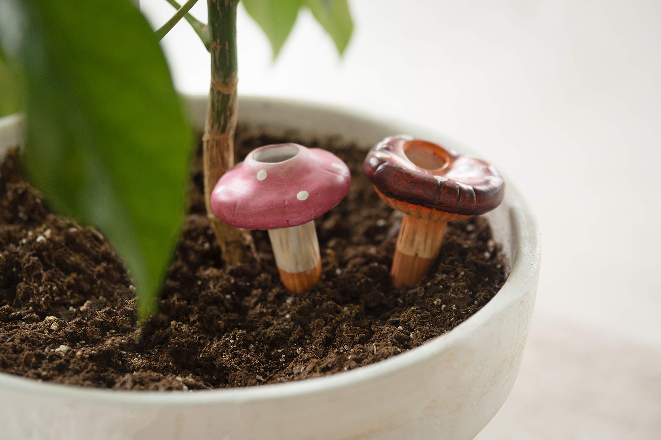 VYV Wellness LLC Self-Watering Terracotta Mushroom Planters - Automatic Plant Waterers for Potted & Hanging Plants - 6 Pack