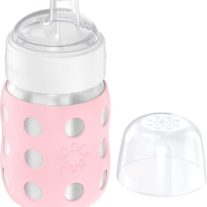 Lifefactory 8-Ounce Stainless-Steel Vacuum-Insulated Wide-Neck Baby Bottle with Sippy Nipple, Desert Rose (LS2251WDR4)