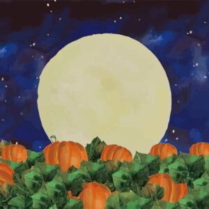 Halloween Pumpkin Field Photography Background Starry Sky Night Moon Halloween Backdrops Baby Shower Birthday Party Photo Studio Props Banner 5x3ft