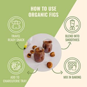 Organic Dried Smyrna Figs 40oz Bulk Bag | Tender & Juicy - NO Added Sugars, Sulfurs or Preservatives | ALLERGEN-FRIENDLY, VEGAN, KOSHER & HALAL