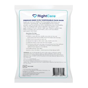 RightCare KN95 Protective Face Mask (Non-Medical) with Ear Loops and Shapeable Nose Bridge, Universal Size 10ct Pack