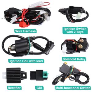 AuInLand Electric Wiring Harness, CDI Ignition Coil Wiring Harness Kit, CDI Wire Assembly fit for 4 Stroke ATV 50cc 110cc 125cc