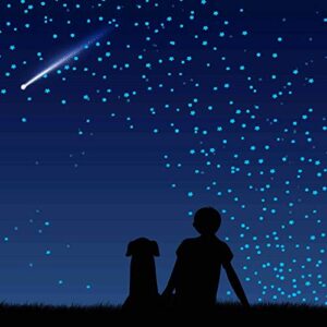 1230 PCS Ultra Glow in The Dark Stars Wall Stickers, 3D Adhesive Dots Decor Starry Sky Decor for Kids Bedroom or Birthday Gift,Beautiful Wall Decals - Sky Blue