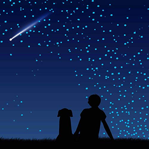 1230 PCS Ultra Glow in The Dark Stars Wall Stickers, 3D Adhesive Dots Decor Starry Sky Decor for Kids Bedroom or Birthday Gift,Beautiful Wall Decals - Sky Blue