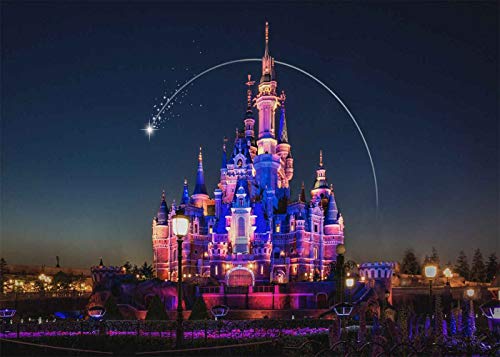 EOA 5(W) x3(H) FT Disneyland Castle Backdrop for Birthday Party Supplies Disney Night Park Photography Background Baby Shower Children Portrait Cake Table Photo Booth Props