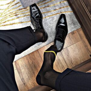 Goobester Men's Thin Silk Formal Dress Suit Transparent Sheer Male Business Dress Socks