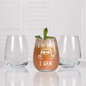 I Do What I Want Funny Wine Glass, Cat Stemless Wine Glass - Cat Lover Gifts for Women, Men, Cat Dad, Cat Mom, Cat Lover, Friends - Gift Idea for Christmas, Birthday