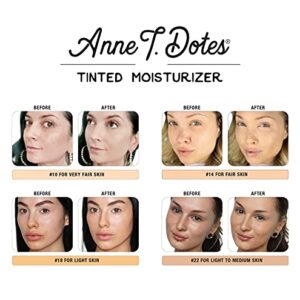 theBalm Anne T. Dotes Tinted Moisturizer #14, 1 fl. oz.