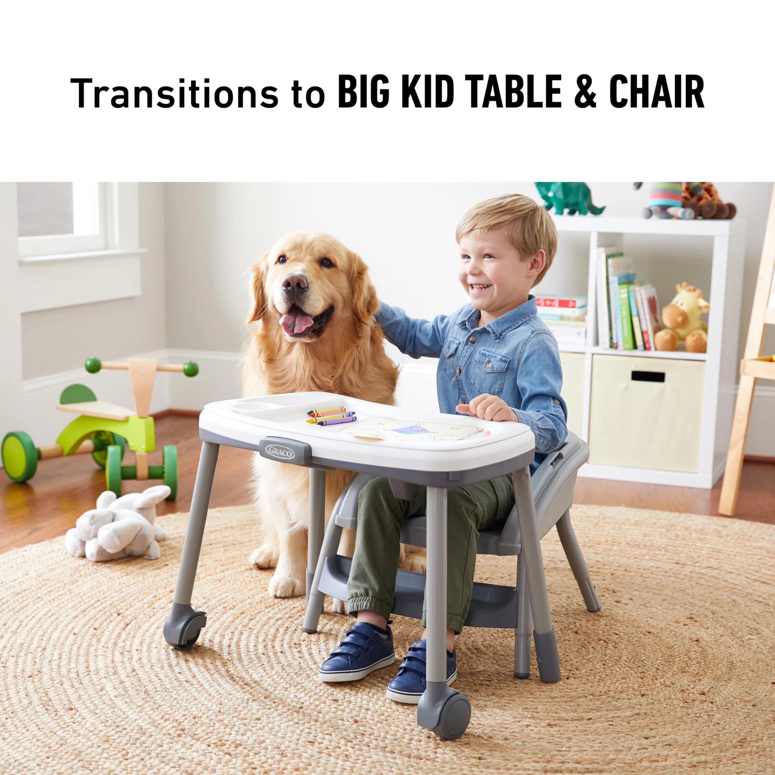 Graco® Table2Table™ LX 6-in-1 Highchair, Arrows