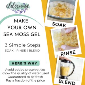 Elderwise Raw Sea Moss | Organic Seamoss Makes 20oz of Gel | Wildcrafted Golden Sea moss | Raw & Non GMO Certified | Sundried | Mineral and Vitamin Rich | Golden