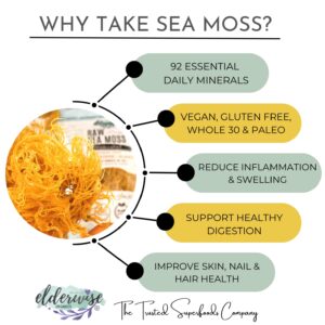 Elderwise Raw Sea Moss | Organic Seamoss Makes 20oz of Gel | Wildcrafted Golden Sea moss | Raw & Non GMO Certified | Sundried | Mineral and Vitamin Rich | Golden