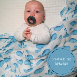 LollyBanks Swaddle Blanket | 100% Muslin Cotton | Newborn and Baby Nursery Essentials for Boys, Registry | Ocean Shark and Whale 3 Pack