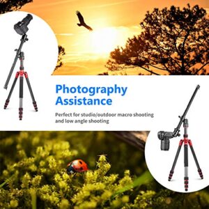 NEEWER Arrow Arm for Tripod, 50cm Horizontal Center Column 360° Swivel Aluminum Alloy for Aerial Photography, Macro and Low Angle Shooting, Load up to 10kg