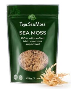 trueseamoss sea moss raw wild crafted seamoss raw - 100% irish sea moss raw (pack of 1) - dried sea moss advanced drink - clean and sundried - vegan sea moss (1pound) (16oz)