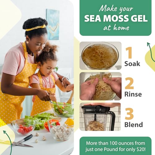 TrueSeaMoss Sea Moss Raw Wild Crafted Seamoss Raw - 100% Irish Sea Moss Raw (Pack of 1) - Dried Sea Moss Advanced Drink - Clean and Sundried - Vegan Sea Moss (1Pound) (16oz)