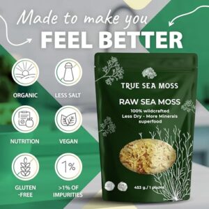 TrueSeaMoss Sea Moss Raw Wild Crafted Seamoss Raw - 100% Irish Sea Moss Raw (Pack of 1) - Dried Sea Moss Advanced Drink - Clean and Sundried - Vegan Sea Moss (1Pound) (16oz)