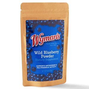 wyman's wild blueberry powder - 100% wild blueberries, no sugar added, antioxidant activity, resealable pouch - 8oz