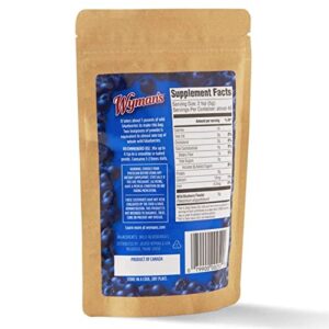 Wyman's Wild Blueberry Powder - 100% Wild Blueberries, No Sugar Added, Antioxidant Activity, Resealable Pouch - 8oz