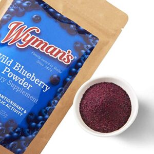 Wyman's Wild Blueberry Powder - 100% Wild Blueberries, No Sugar Added, Antioxidant Activity, Resealable Pouch - 8oz