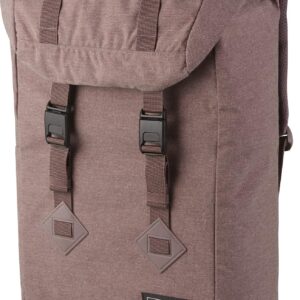 Dakine Infinity Toploader 27L Backpack (Sparrow)