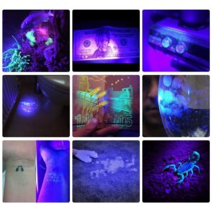 Alonefire SV18 12W 365nm UV Flashlight USB Rechargeable Ultraviolet Blacklight Pet Urine Detector for Resin Curing, Fishing, Minerals, Scorpion with UV Protective Glasses, Battery Included