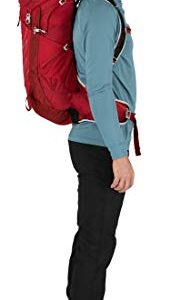 Osprey Talon 33L Men's Hiking Backpack with Hipbelt, Cosmic Red, S/M