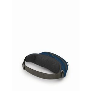 Osprey Daylite Waist Pack, Wave Blue