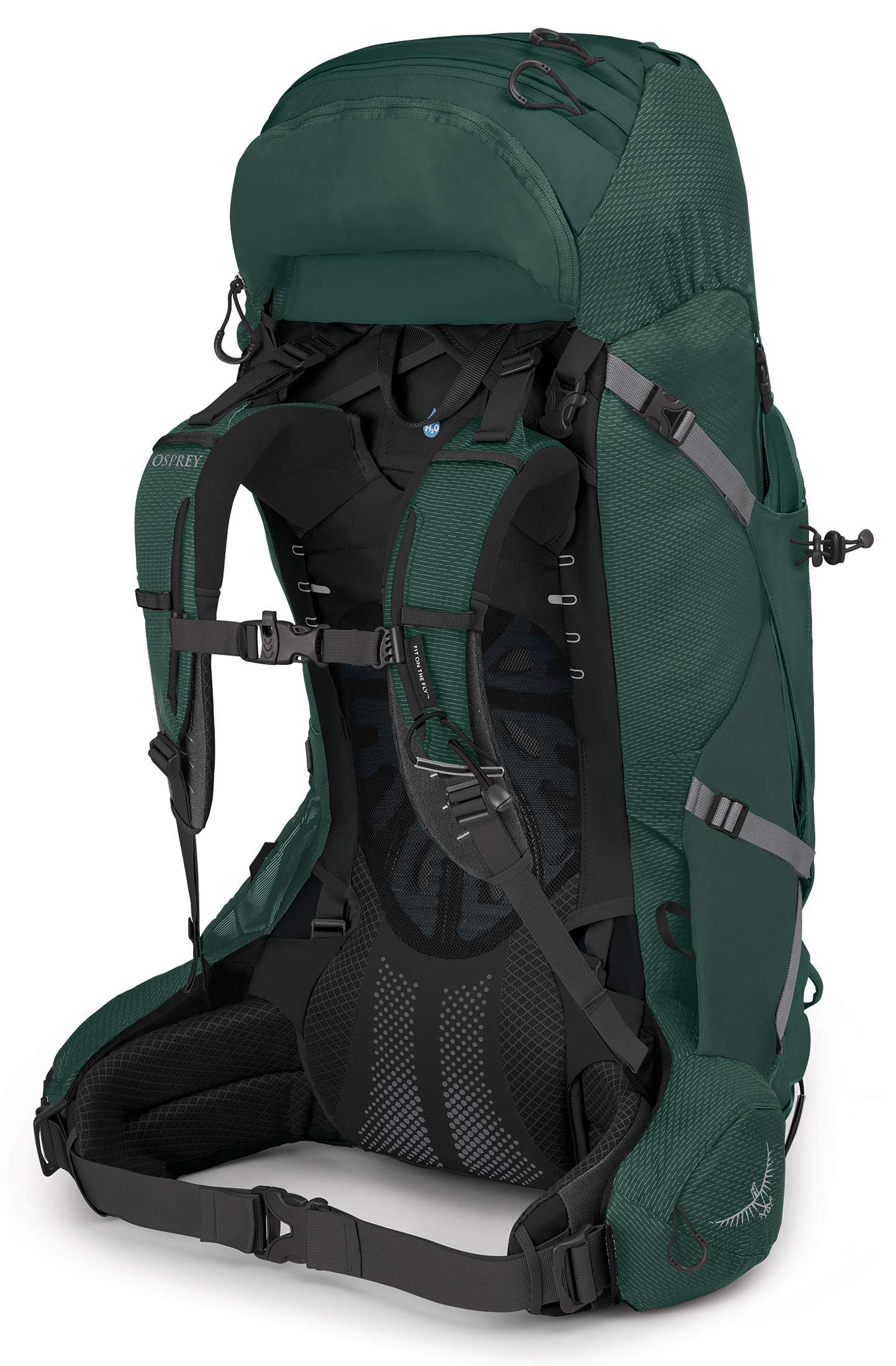 Osprey Aether Plus 60L Men's Backpacking Backpack, Axo Green, L/XL