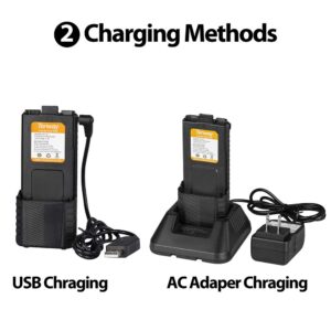 Tenway 2Pcs UV-5R BF-8HP Extended Battery BL-5L 3800 mAh with USB Charging Cable and Chargers Compatible with BAOFENG UV-5R Series