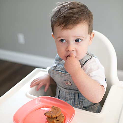 Dr. Brown's Stackable Plate Set for Toddlers and Babies, BPA Free - 3-Pack, 4m+