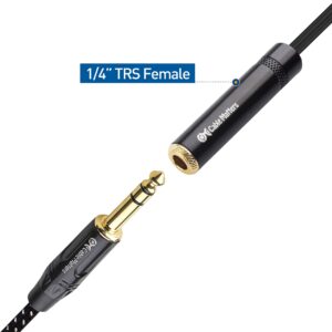 Cable Matters 2-Pack 1/4 TRS to Dual TS Stereo Audio Splitter Cable (Dual 1/4 Inch TS to TRS Female Adapter) in Black - 6 Inches / 0.15 Meters