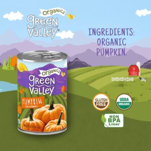 Green Valley Organics Pumpkin | Certified Organic | 100% Dickinson Variety | Sweet Earthy Delicious | Firm & Smooth | Vibrant Autumn Orange | American Grown & Made | 15 oz (Pack of 4)