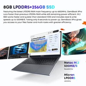 CHUWI Upgraded GemiBook XPro Intel N100 Laptop, 14.1'' Windows 11 Laptop Computer 8GB RAM 256GB SSD, 12th Gen Intel Alder Lake N100 (Up to 3.4GHz), 1920X1080 FHD Display, HDMI/WiFi 6/BT5.2/Webcam/38WH