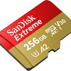 SanDisk Extreme 256GB MicroSD Card for Mavic Mini 2 DJI Drone Flycam - Class 10 4K UHD U3 A2 V30 SDXC (SDSQXAV-256G-GN6MN) Bundle with (1) Everything But Stromboli MicroSDXC Memory Card Reader