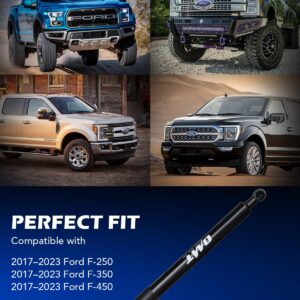 Orion Motor Tech Truck Tailgate Assist, Pickup Tailgate Lift Assist Kit, Heavy Duty Tailgate Shock Truck Accessories Compatible with Ford 2017 2018 2019 2020 2021 2022 F250 F350 F450 Super Duty