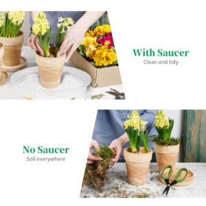 Plant Saucers - 13 inch - 5 Pack Durable Plastic Plant Trays, Clear Plastic Flower Plant Pot Saucer for Indoors and Outdoor